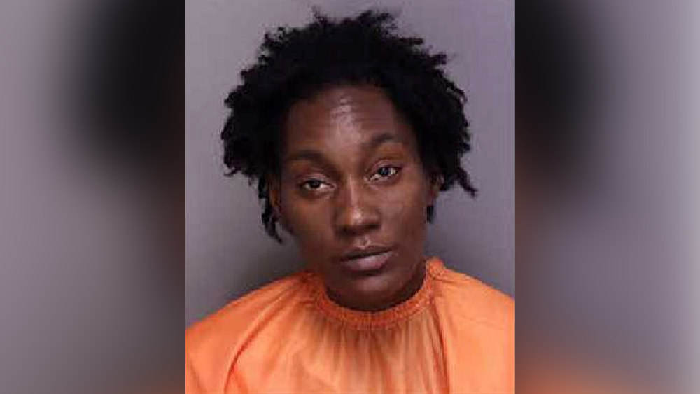 Warrant: 4-month-old South Carolina baby drowns in bathtub while mother ...