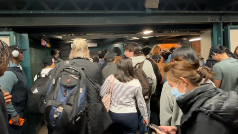 Man fatally struck by F train causes major NYC subway delays in Queens