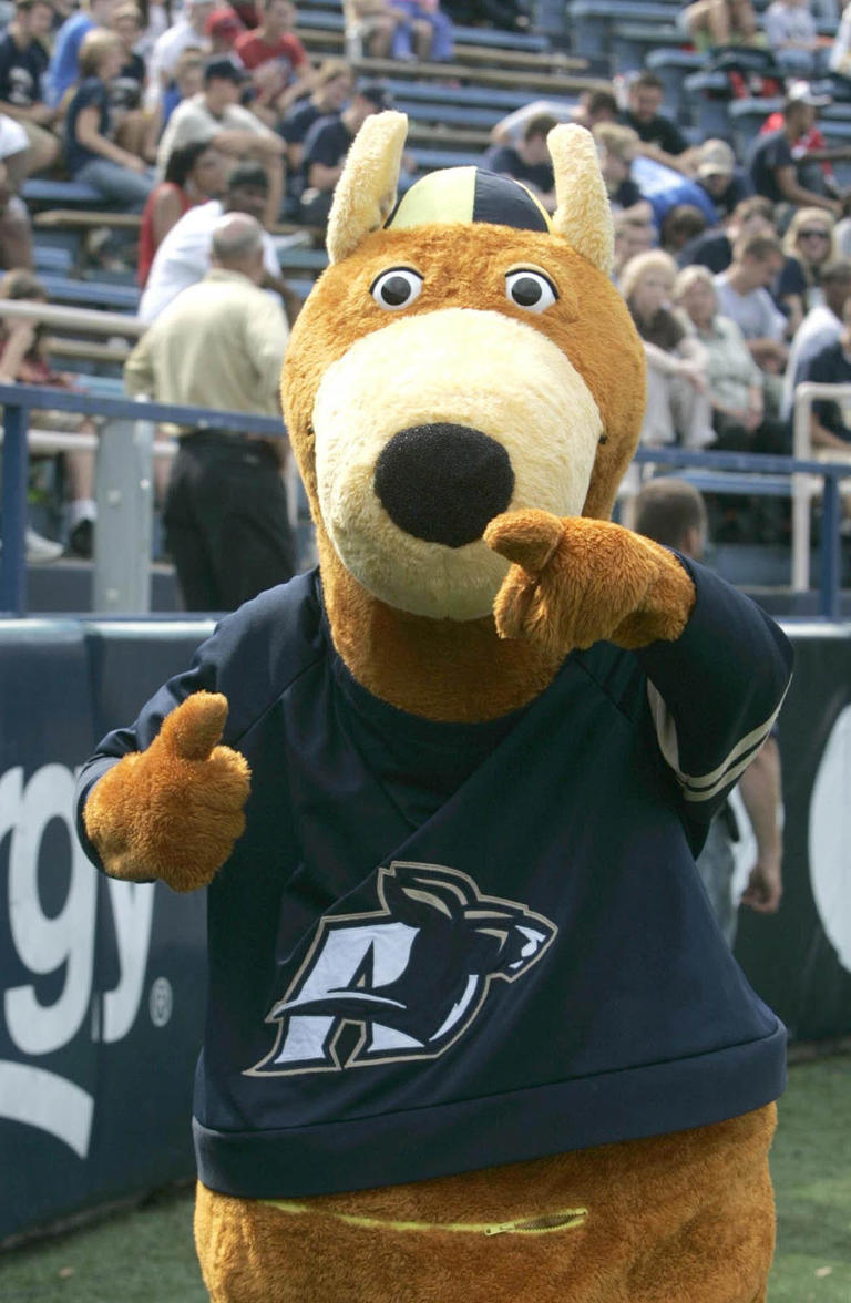 What's it like being Akron's favorite kangaroo? Past Zippys share tales
