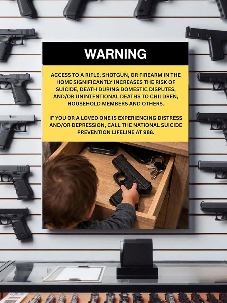 NY lawmakers want gun shops to post 'graphic' visual warnings about ...