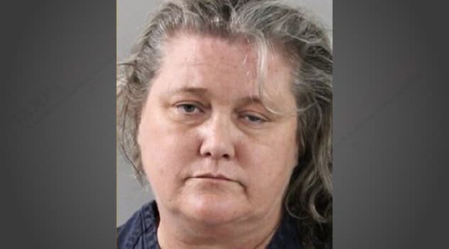 Bartow woman faces string of felonies after pelting animal control ...