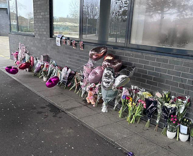 Schoolgirl, 12, is feared to have taken her own life after being ...