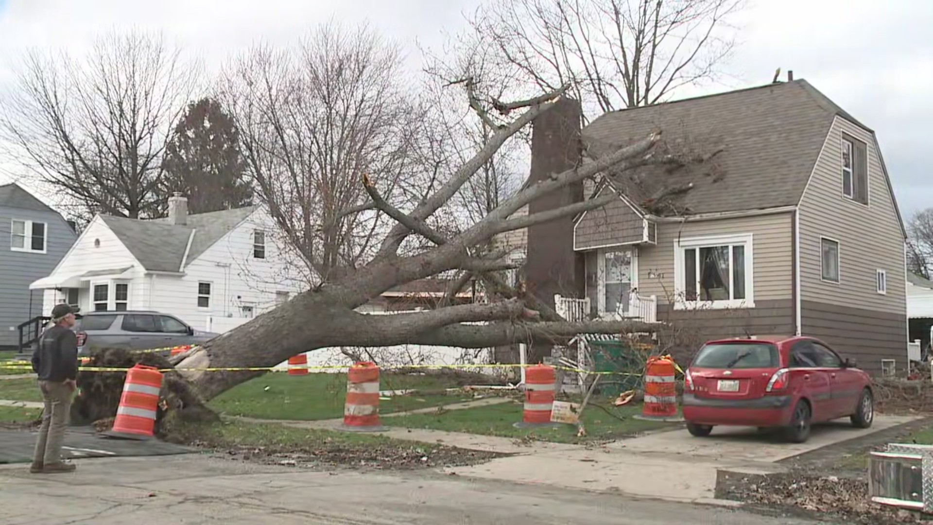 Tree falls onto Maple Heights home