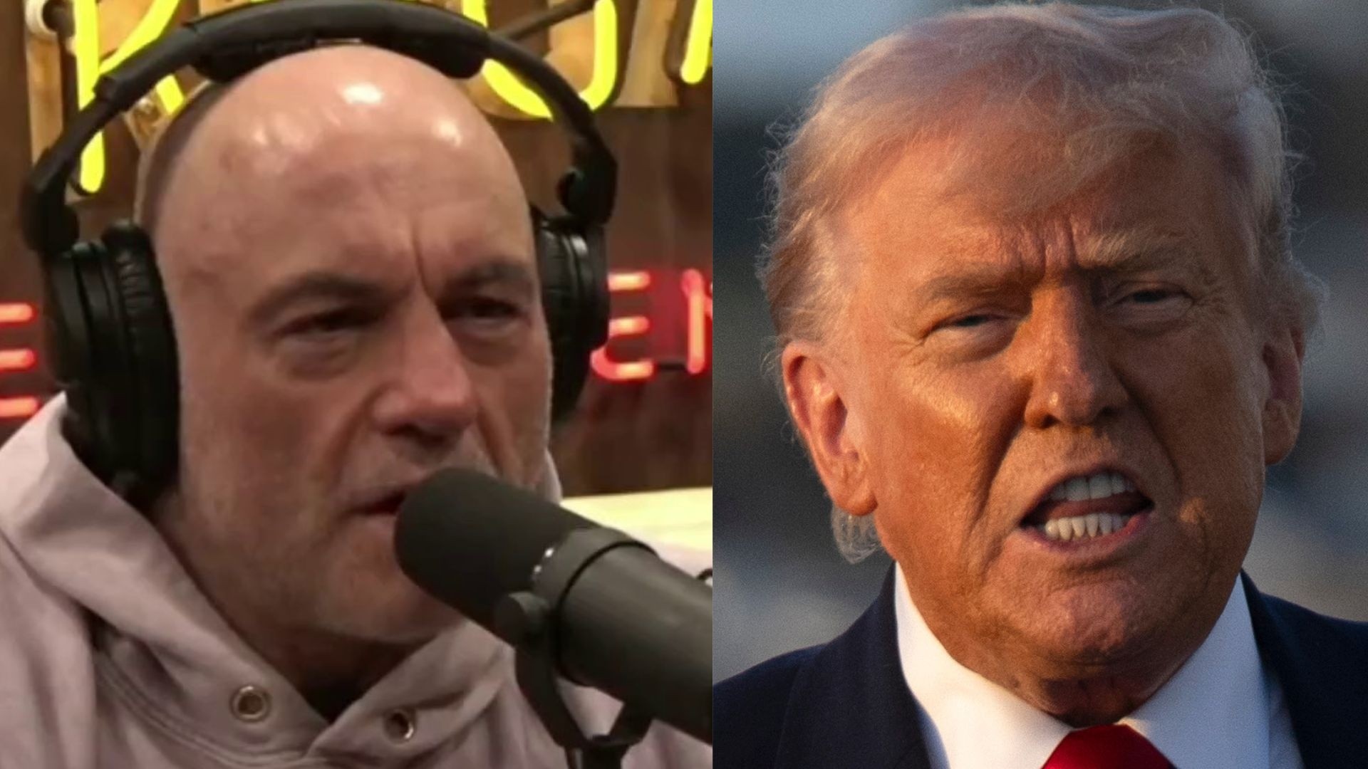 'Why a lot of people feel betrayed': Joe Rogan slams Trump's 'insane ...