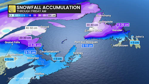 Expect disruptions: Buffet of winter weather bombards Atlantic Canada