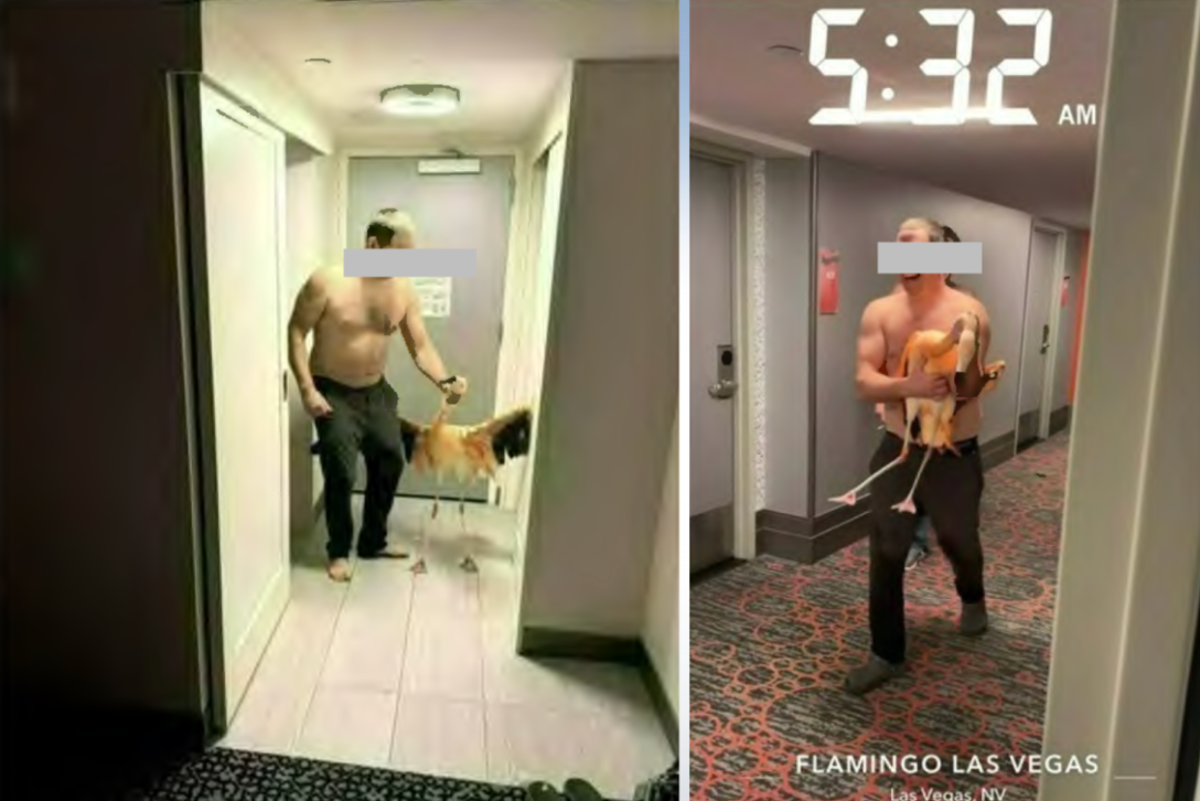 Man who 'stole' flamingo from Las Vegas hotel told to remain in city