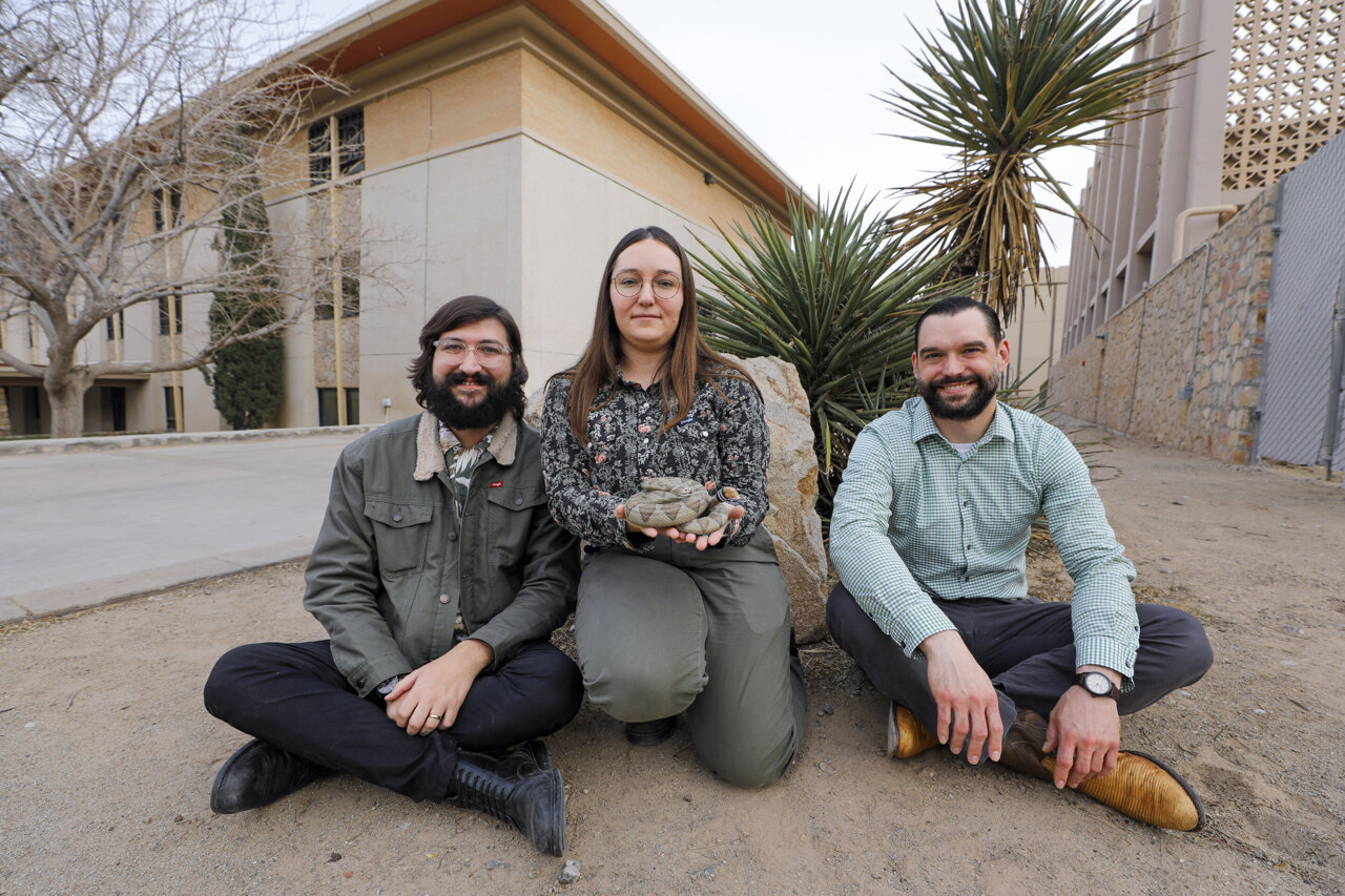 3D-printed rattlesnake reveals how the rattle is a warning signal