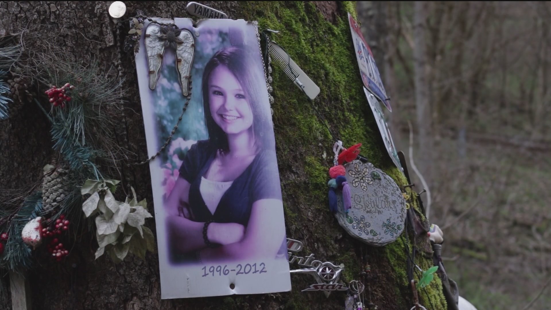 Why are people so fascinated by true crime? WVU professor weighs in