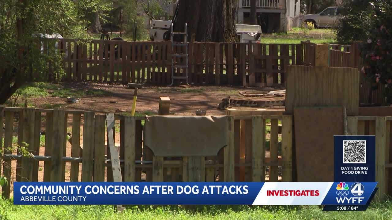 Victims say more should be done after series of dog attacks
