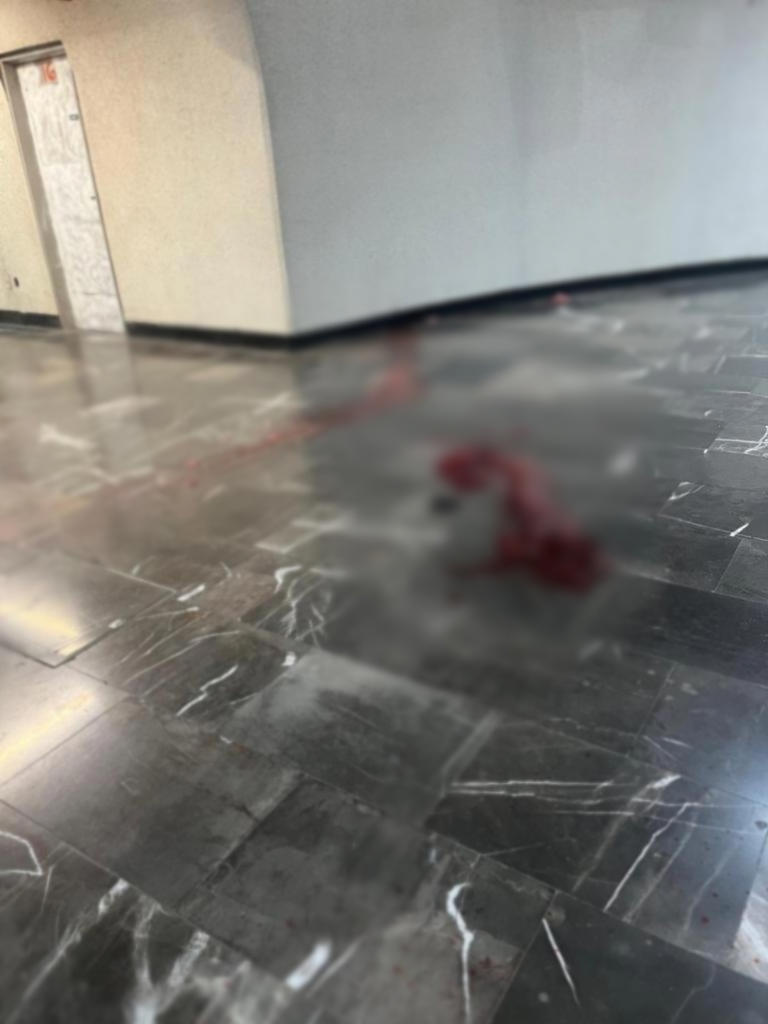 Muere hombre tras caída de 30 metros en Metro Camarones; testigos ...