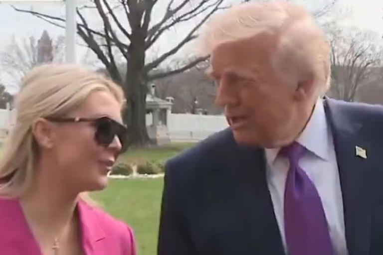 Karoline Leavitt forced to repeat questions for 'bruised' Trump as he ...