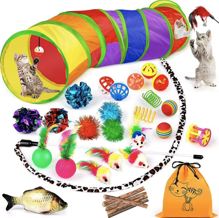 Walmart is selling a 32-piece interactive cat toy that's nonstop fun