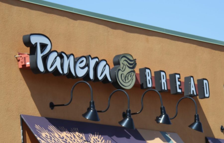 Panera introduces first energy drinks since Charged Lemonade lawsuits