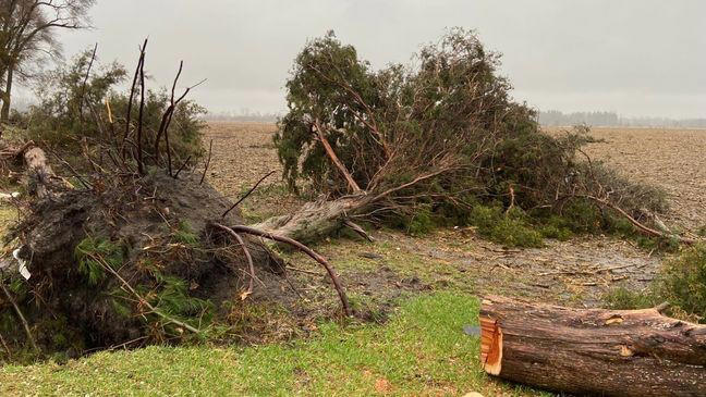 Tornado damages homes, downs trees, power lines in Starke County