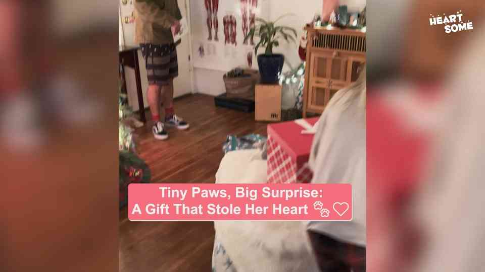 Heartwarming surprises & reunions: Family moments that melt hearts