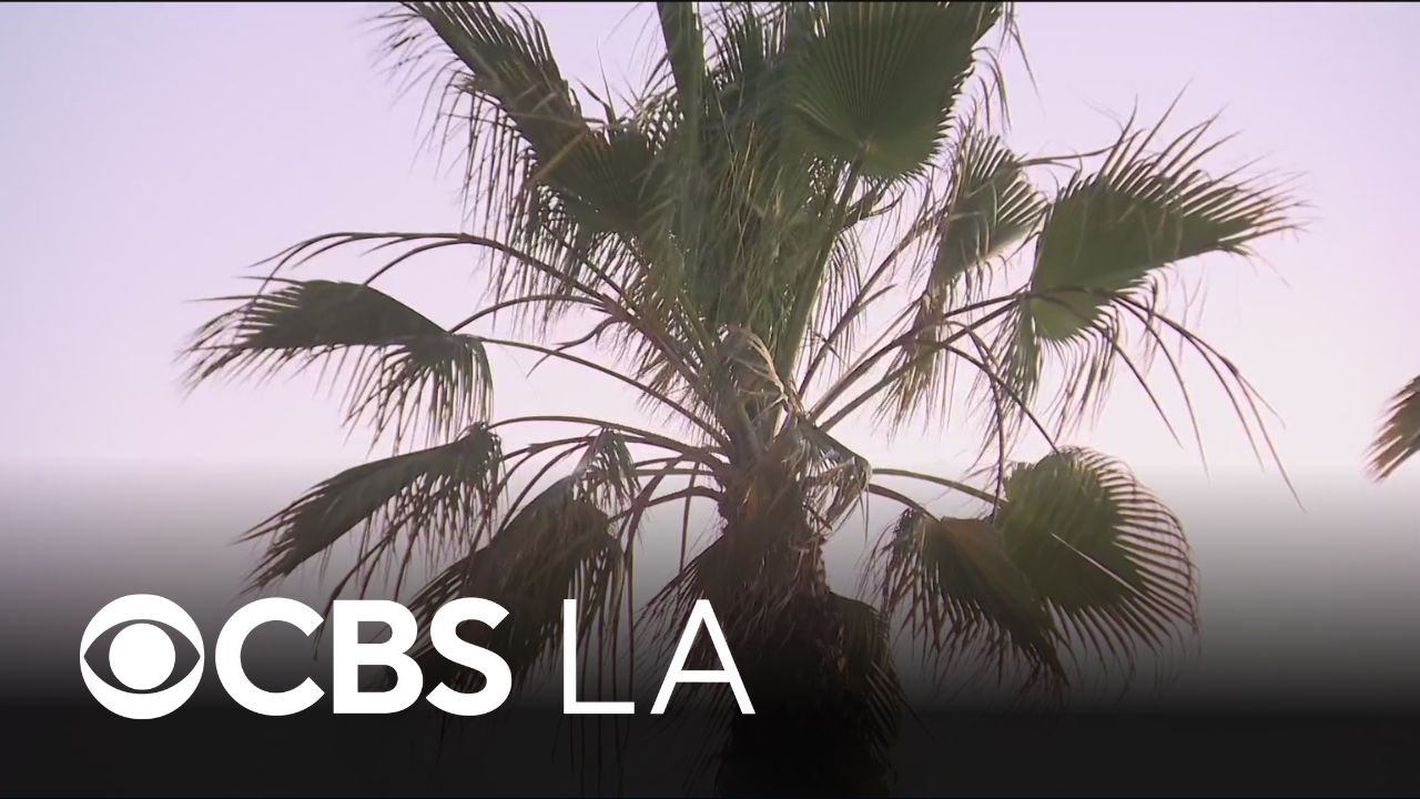 Southern California braces for potential record-breaking heat