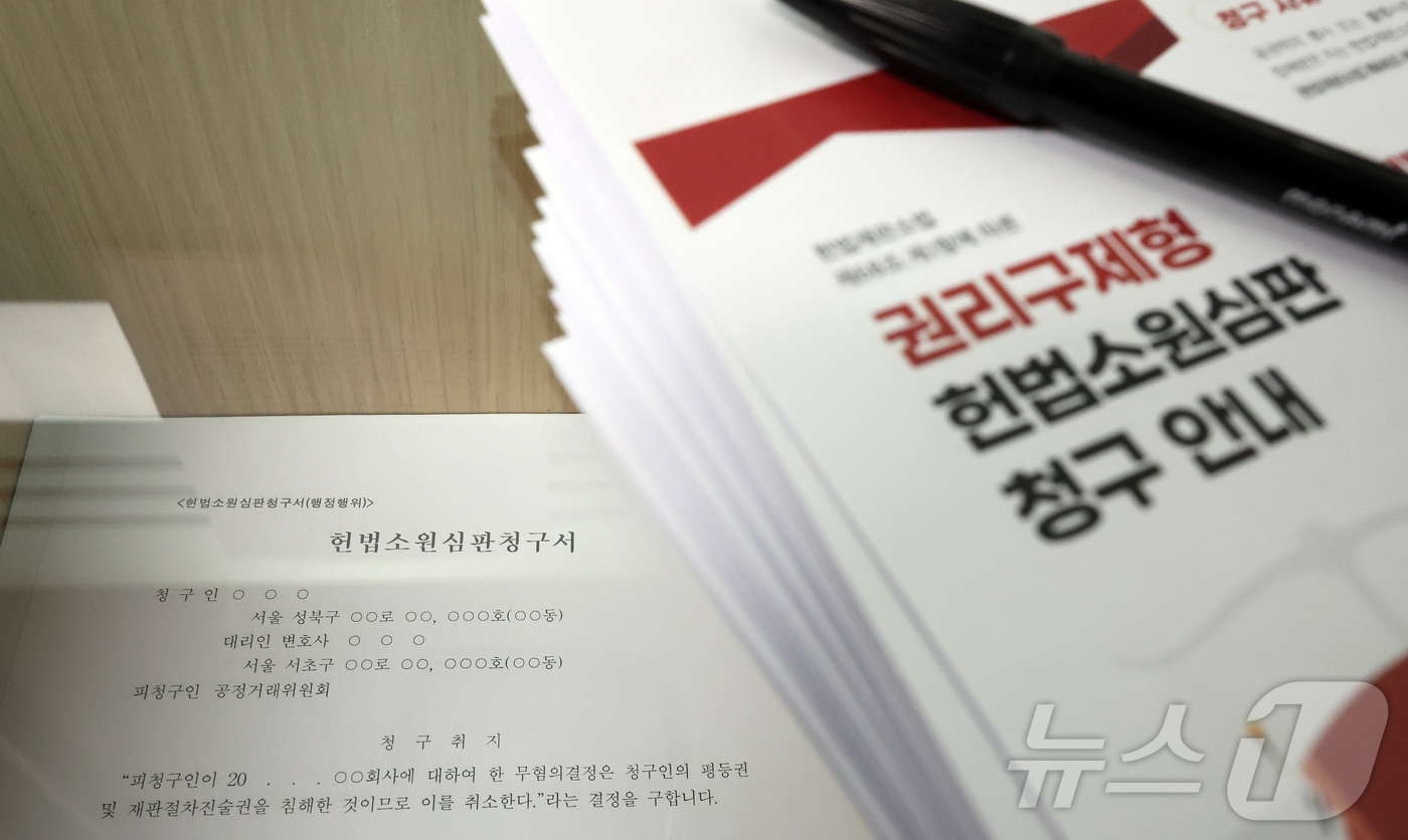 신속 재판 위한 '항소 각하 조항' 재판소원 1호 인용 사건 될까