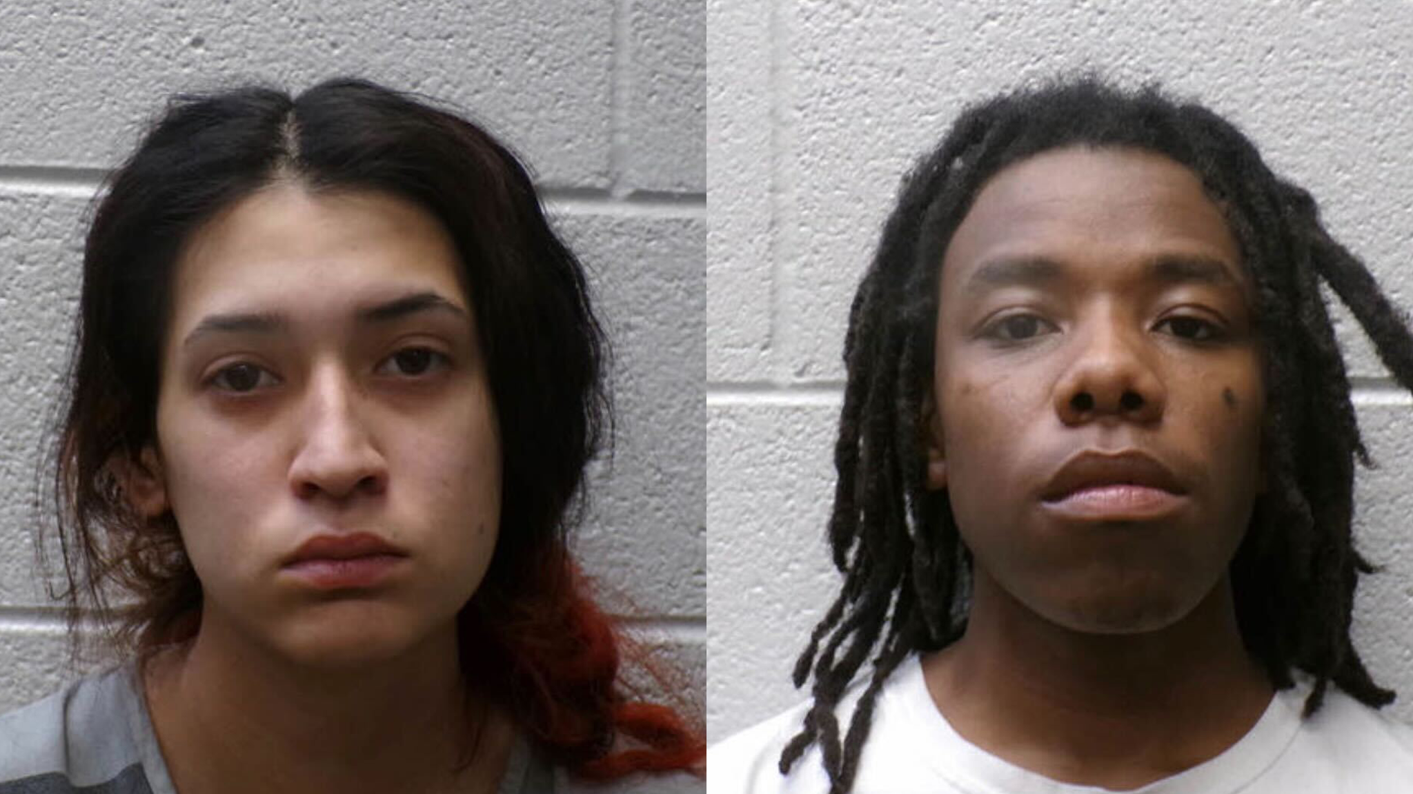 Man and woman accused of abandoning dogs at vacant home