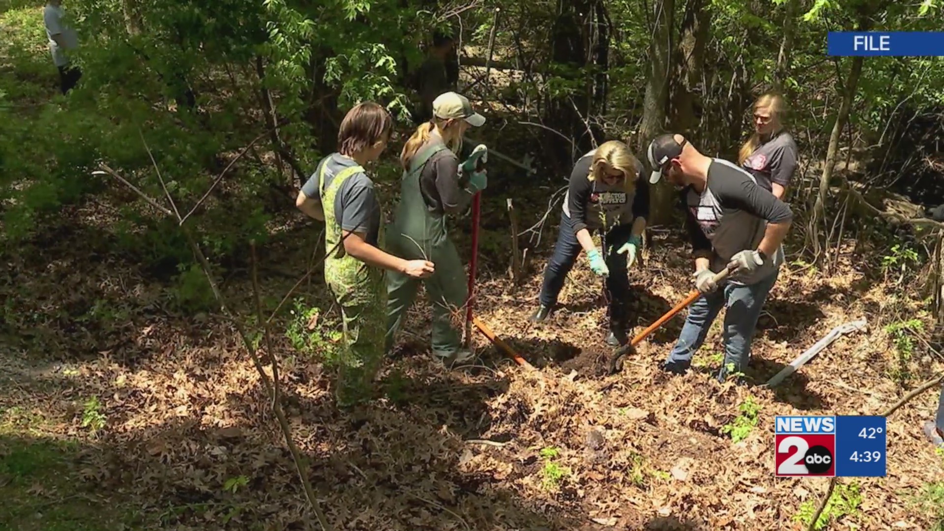 Help improve the environment ahead of Tennessee Tree Day