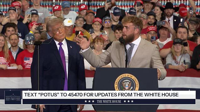 Trump endorses a profusely-sweating Jake Paul for a political run
