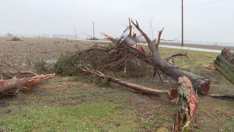 Indiana 211 taking storm damage reports