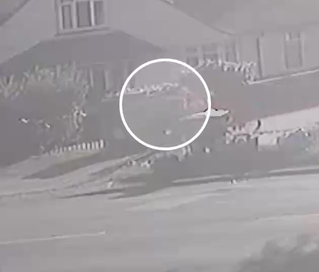 Moment e-biker ploughs into great-grandfather, 91, putting the bins out in fatal pavement crash