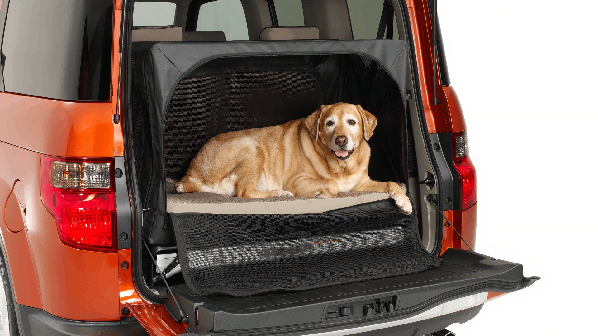 The Honda dog friendly Element was the perfect rig for pet owners