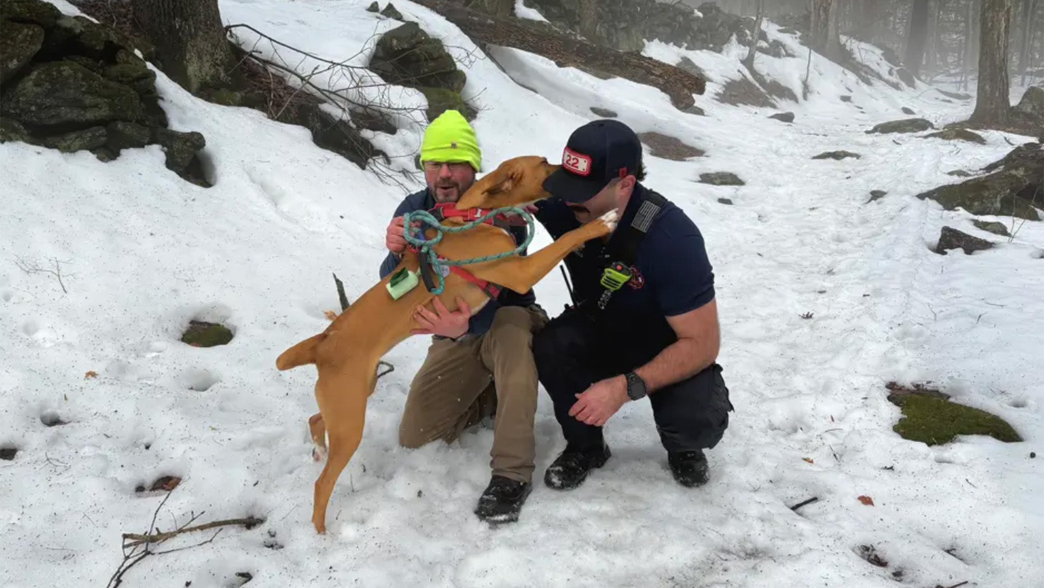 Seasonal high waters complicate dramatic dog rescue in New York