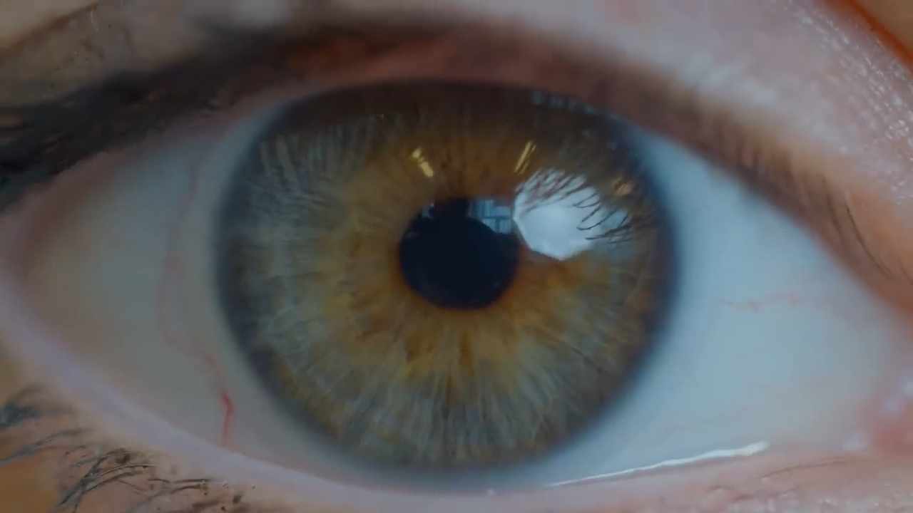 Your brain can still see – even when your eyes can’t