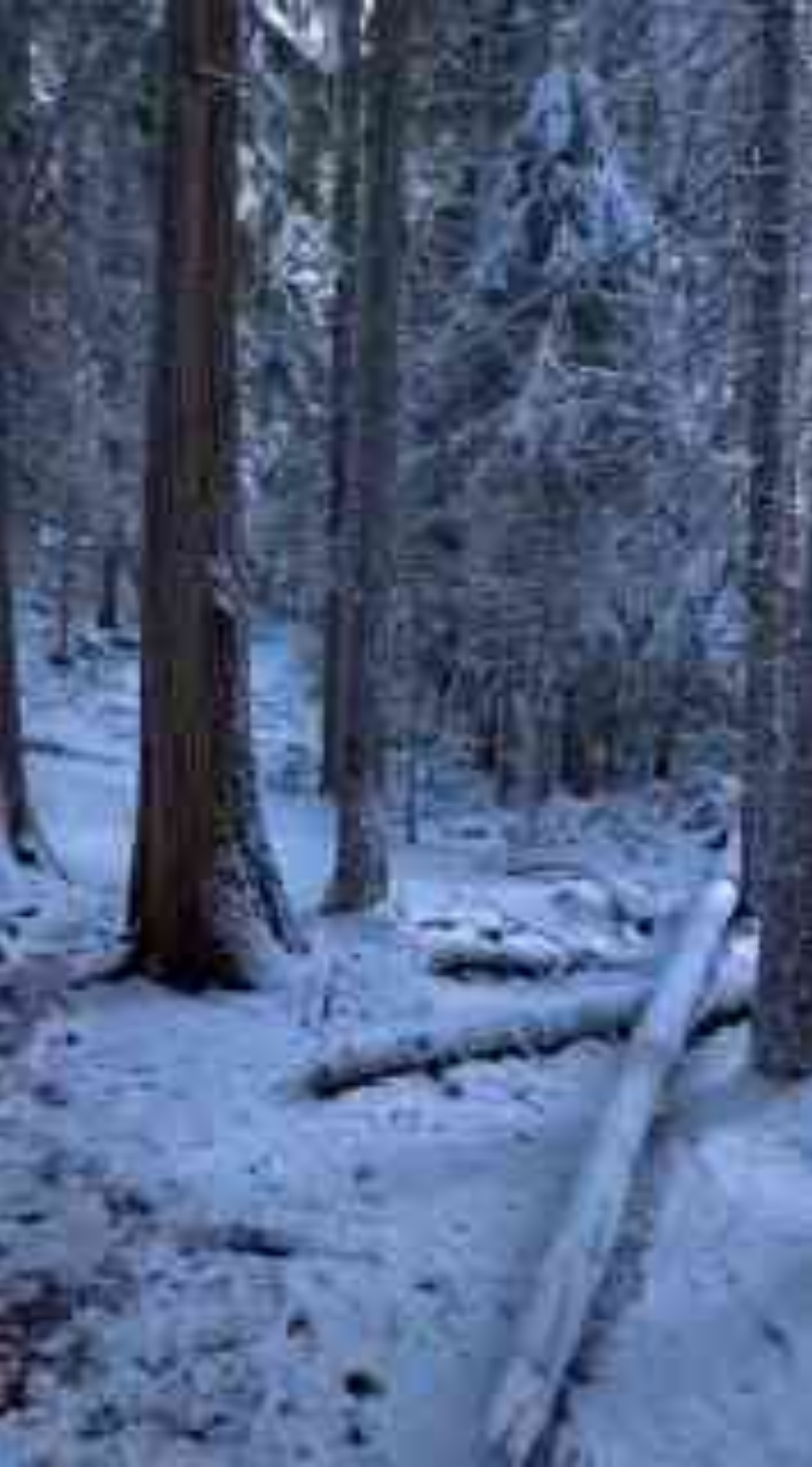 The beautiful truth about loving someone forever