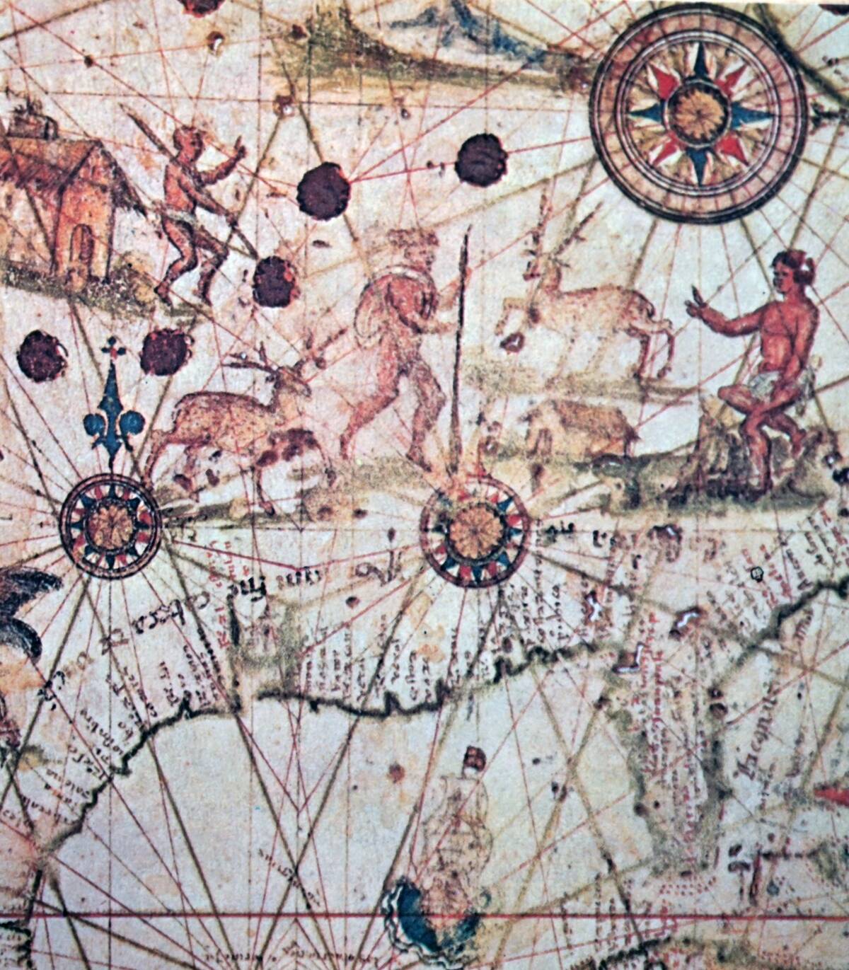 11 photos of ancient maps showing mythical beasts as real