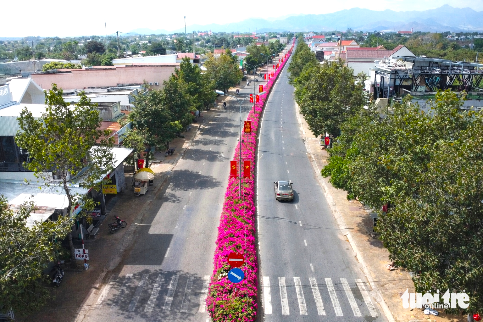 Con đường hoa giấy tím rực ở vùng cao Ninh Thuận cũ níu chân du khách