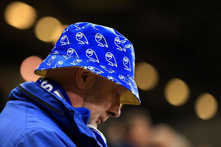 Fan engagement and Sheffield Wednesday identity at the heart of David ...