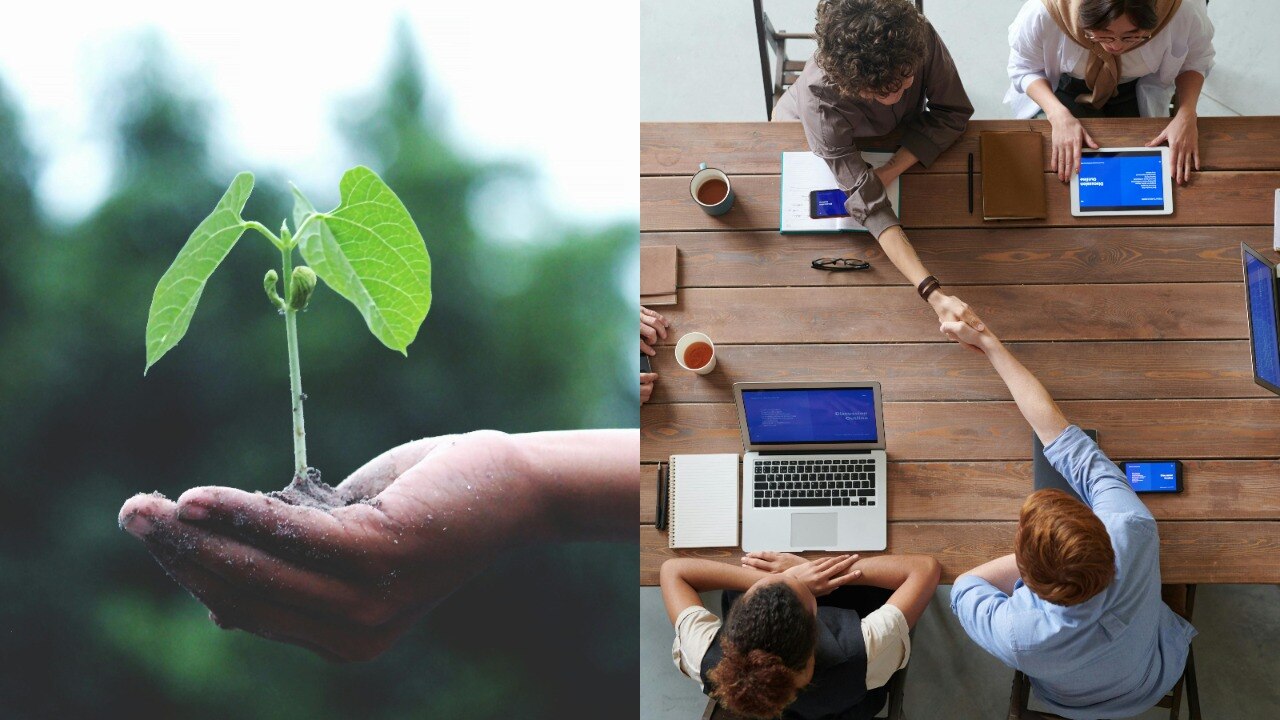 WWF opens summer internship in conservation. Apply for up to Rs 72,000 ...