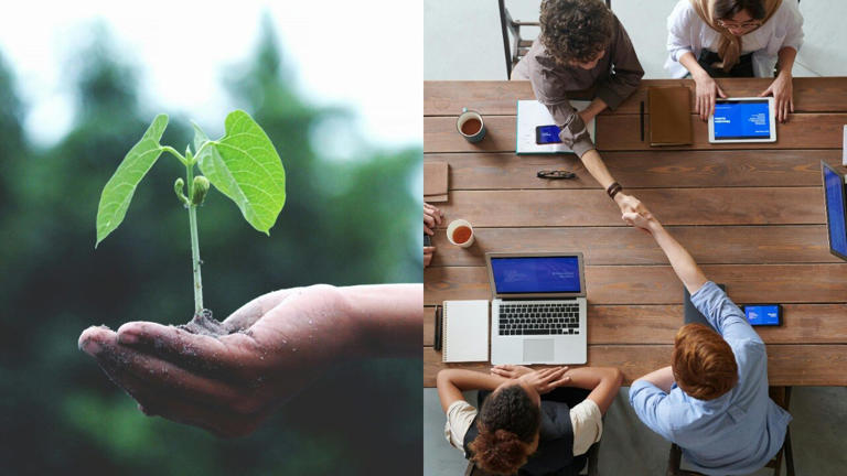 WWF opens summer internship in conservation. Apply for up to Rs 72,000 ...