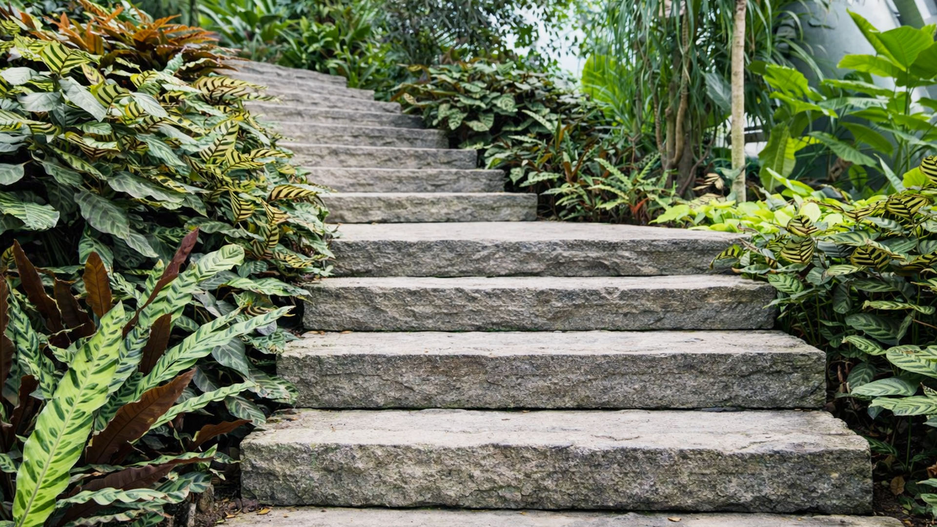 These Steps Connect Paths Inside A Forest China