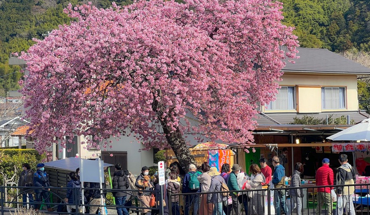 Sắc màu Việt - Nhật: sân chơi sáng tạo cho sinh viên yêu văn hóa