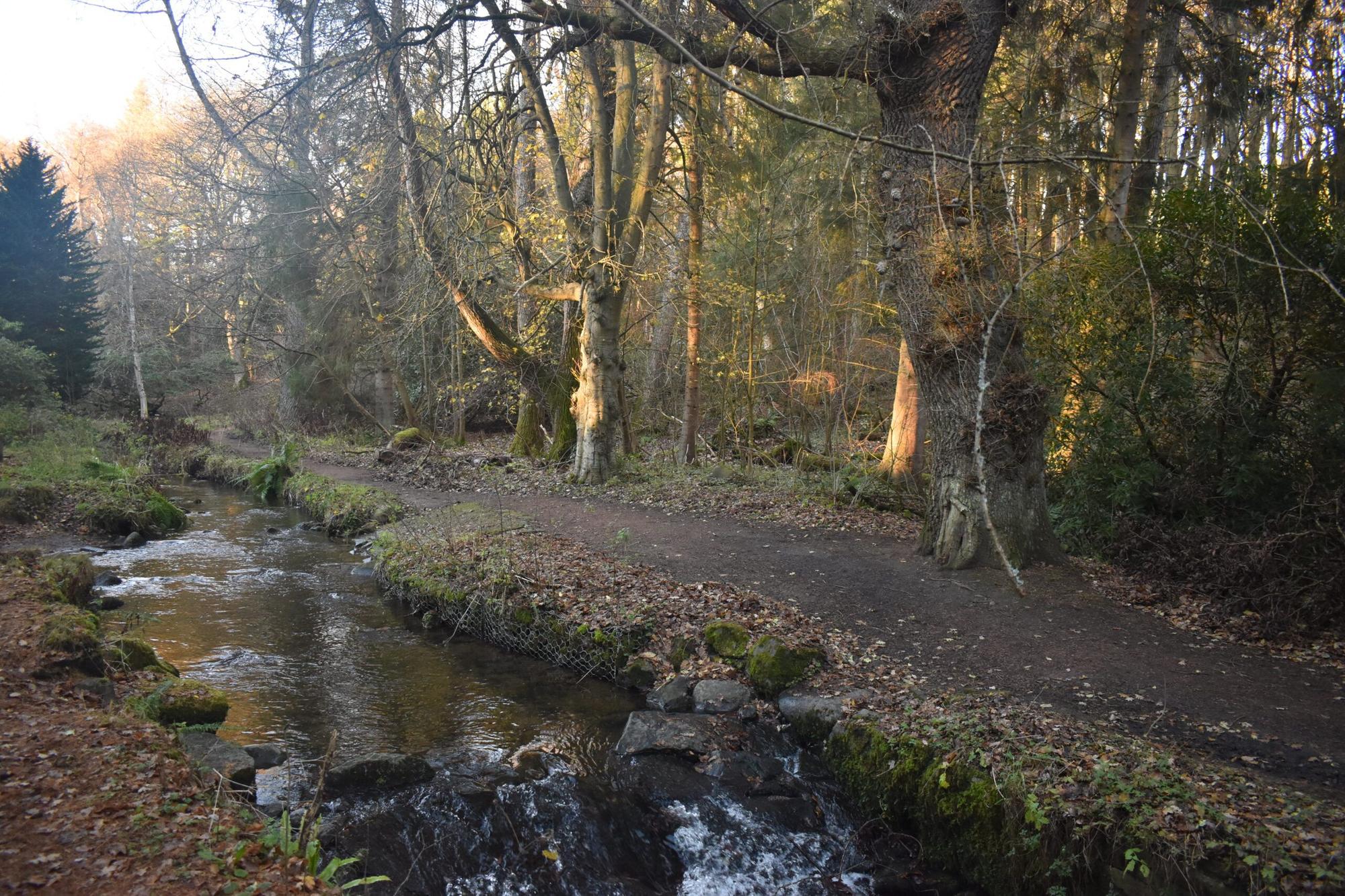 Have your say on the Back Burn river restoration
