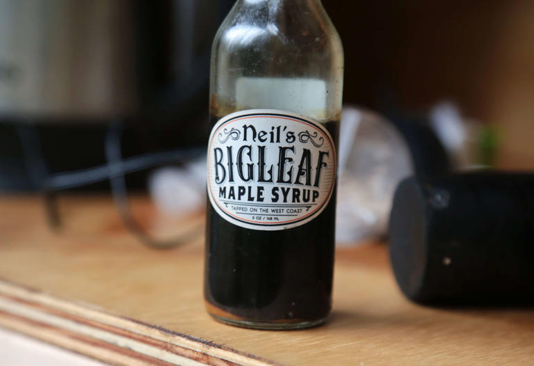 The Pacific Northwest’s most prolific maple syrup farmer wants to ...