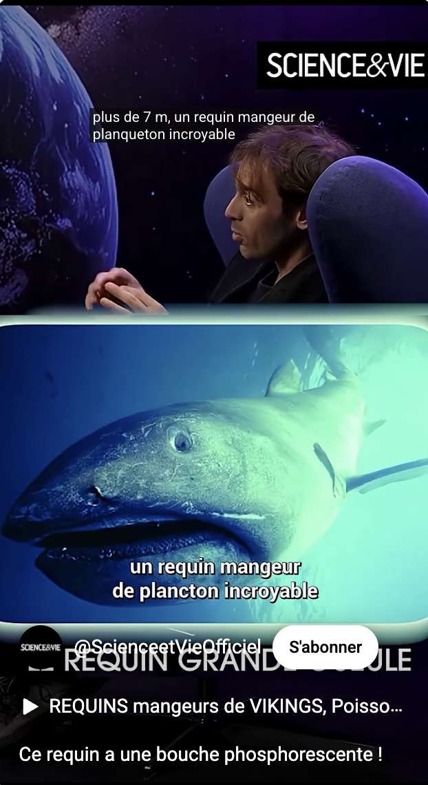 Ce requin a une bouche phosphorescente!