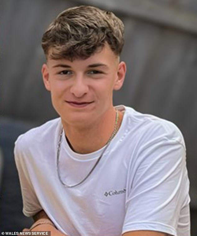 Apprentice engineer was killed by 'impatient' van driver overtaking in ...