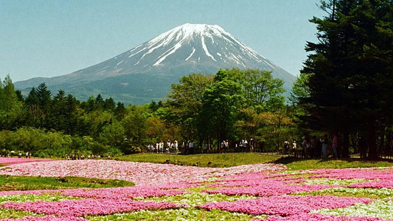 Japan tourism is booming as travellers look beyond Tokyo and Kyoto