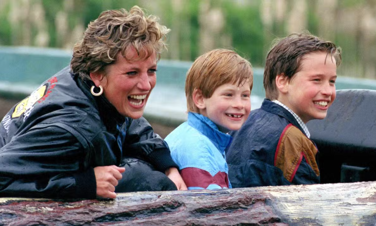 Princesa Diana cogitou Harry como possível rei caso William recusasse o ...