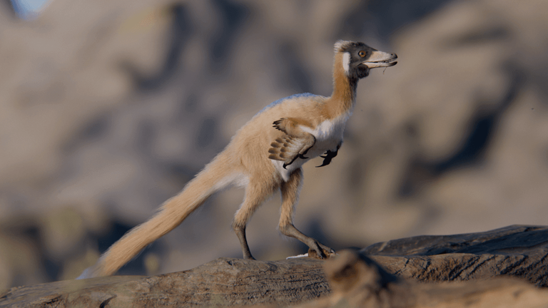 Tiny dinosaur weighing less than 1 kilogram is one of the smallest ever ...