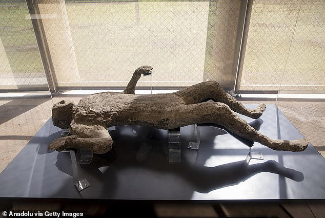 New display shows Pompeii's victims huddled together in their final moments