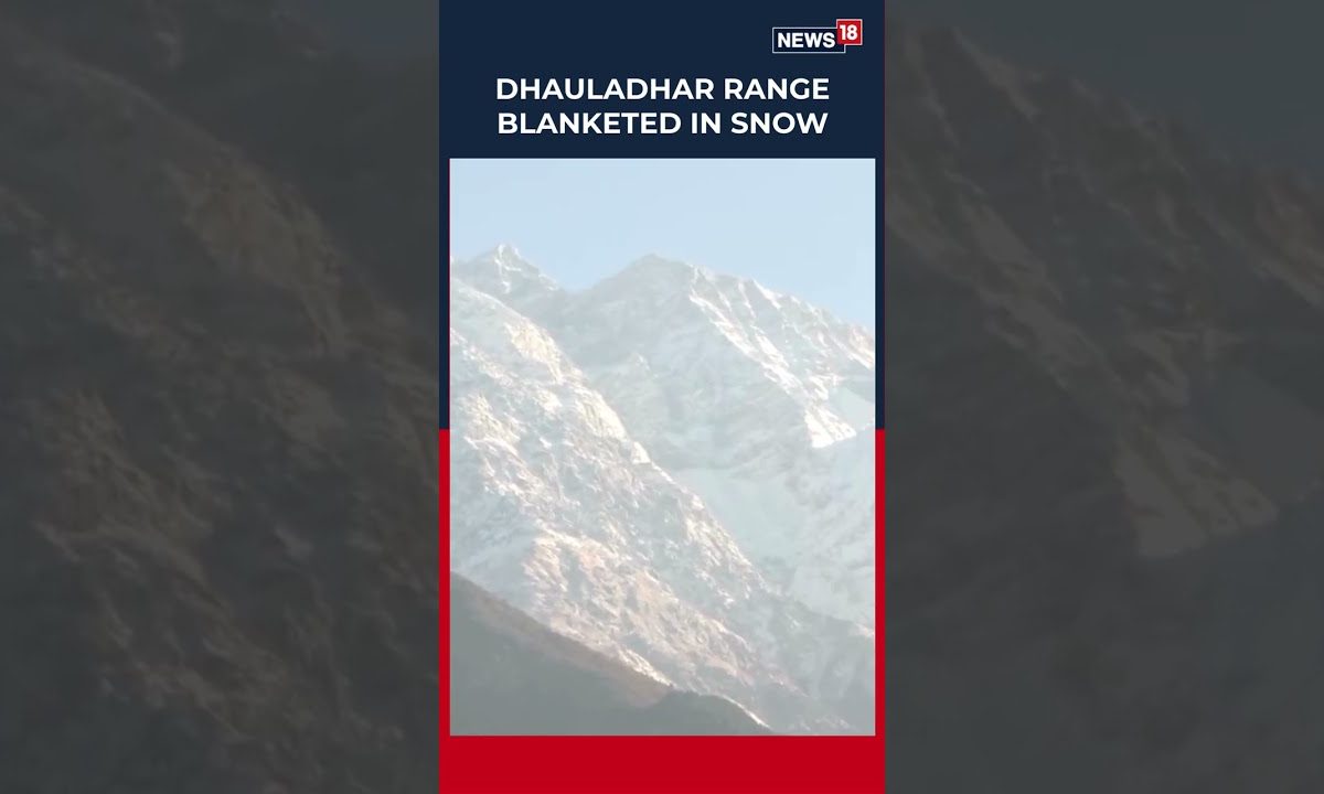 Watch | Fresh snowfall carpets the Dhauladhar range near Dharamshala in ...