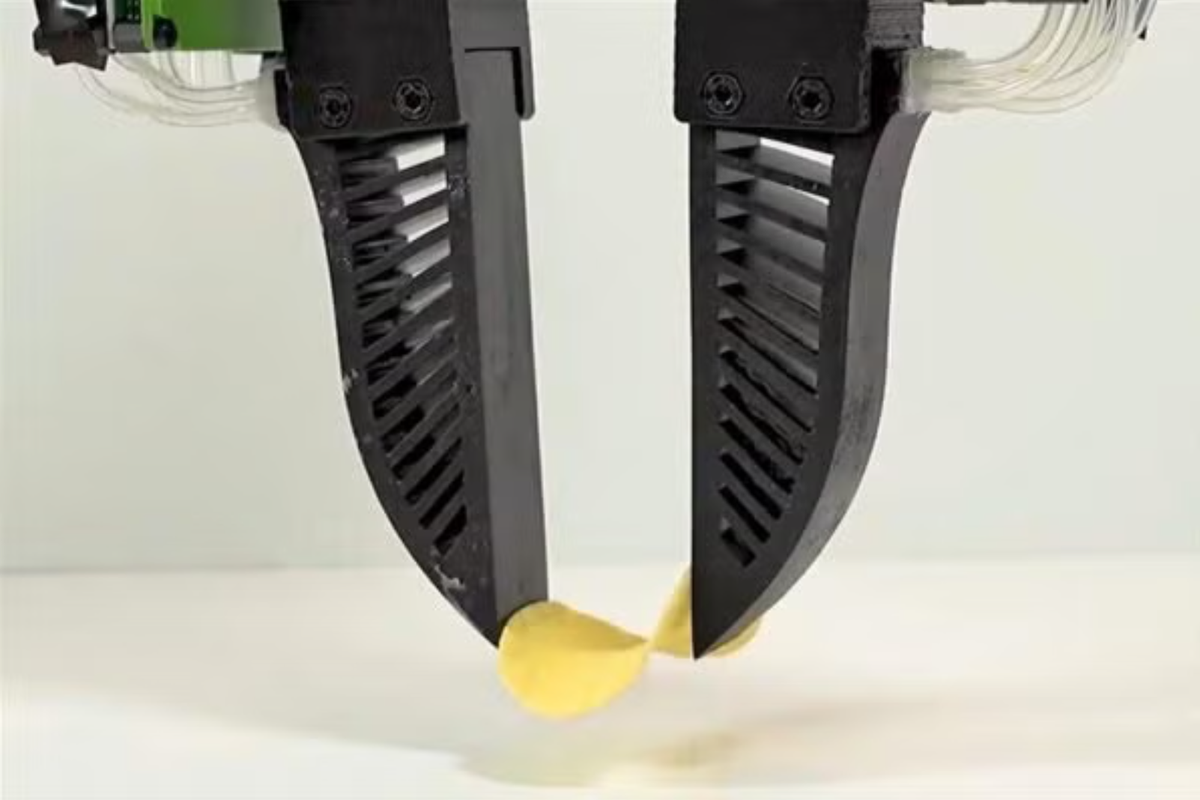 Engineers unveil robotic hand that can handle a Pringle or raspberry