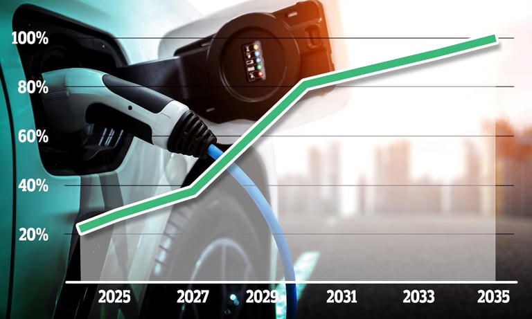Car makers call for urgent review of EV sales targets as demand wanes
