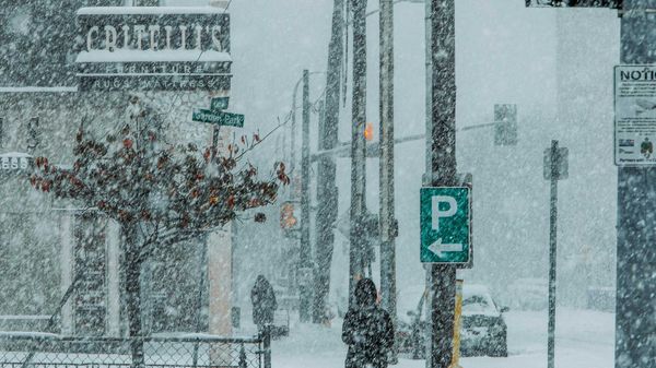 A storm is forecast to drop up to 20 cm of snow in southern Ontario by ...