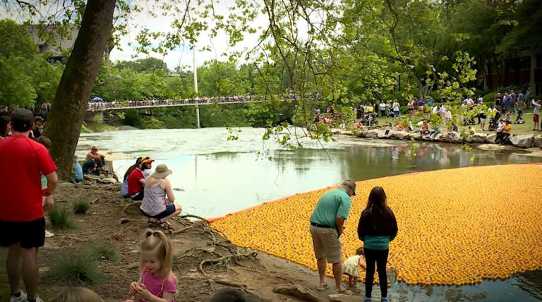 Annual duck derby at Falls Park set to return this spring